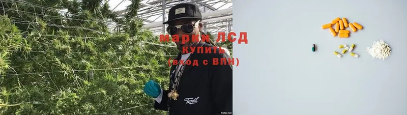 купить наркоту  Арск  hydra онион  LSD-25 экстази кислота 